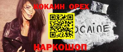 стафф Гусев
