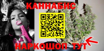 стафф Гусев