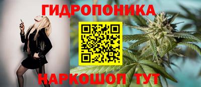стафф Гусев