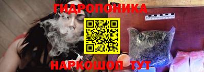 стафф Гусев