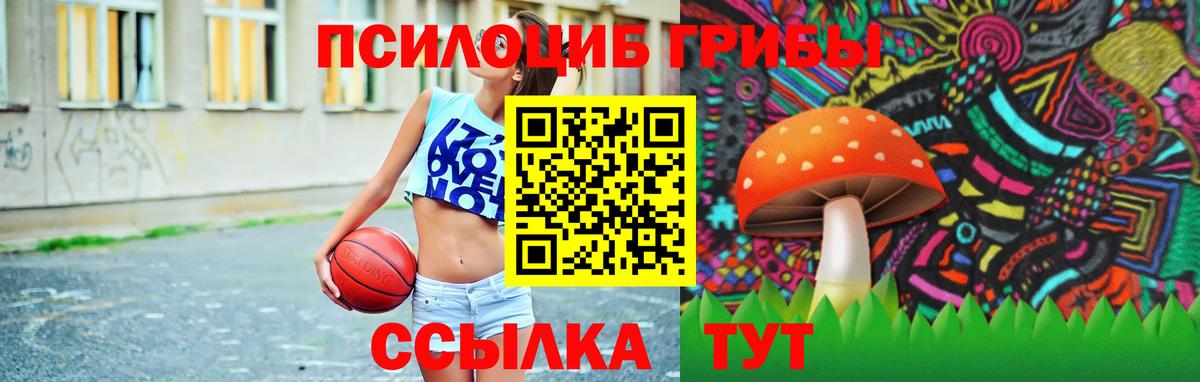 Галлюциногенные грибы мухоморы Воскресенск